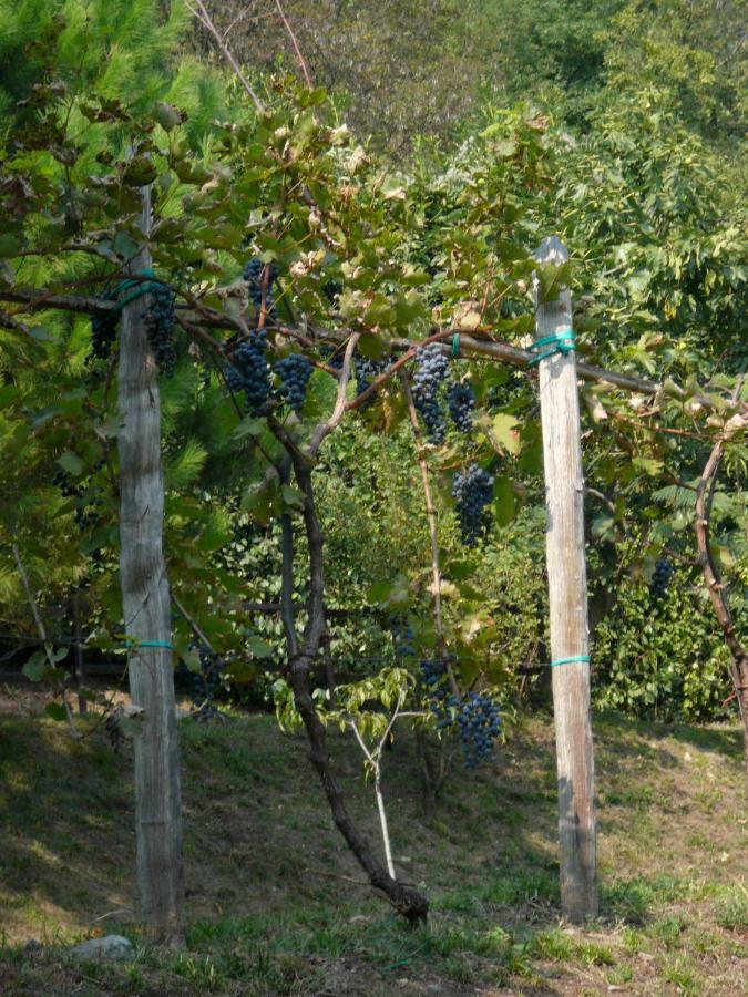 Cascina Cologna Bed & Breakfast Galbiate ภายนอก รูปภาพ